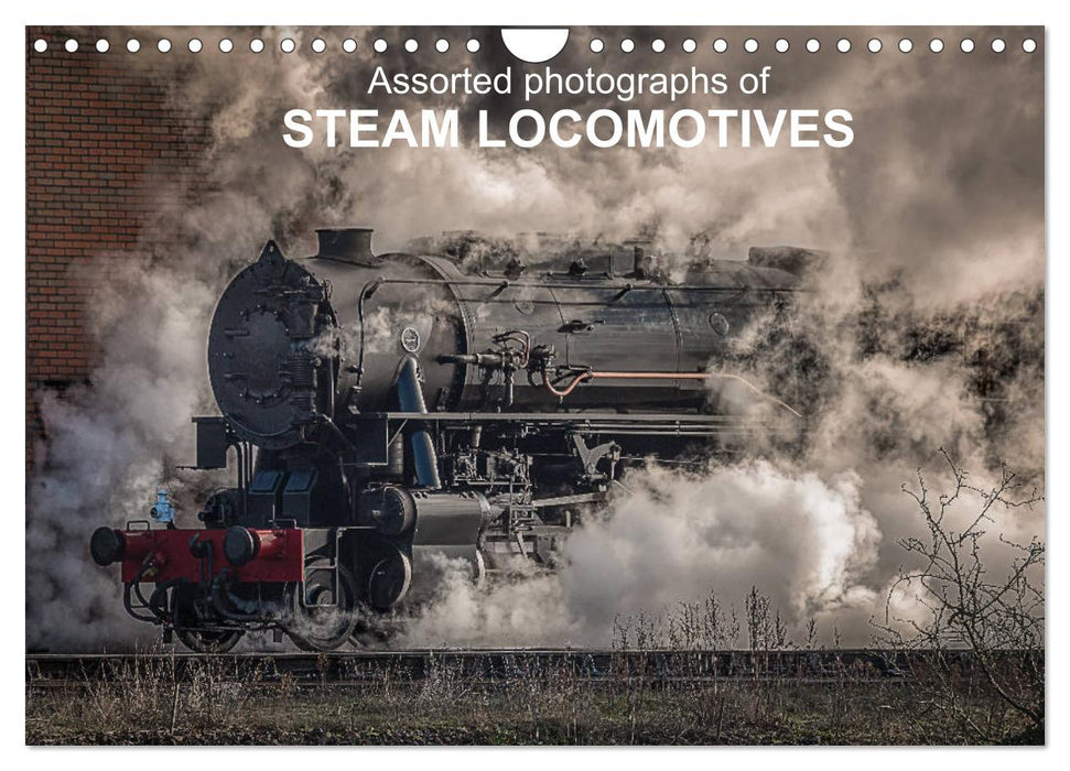 Assorted photographs of STEAM LOCOMOTIVES (CALVENDO Monthly Calendar 2026)