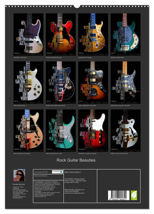 Rock Guitar Beauties (CALVENDO Premium-Calendar 2026)