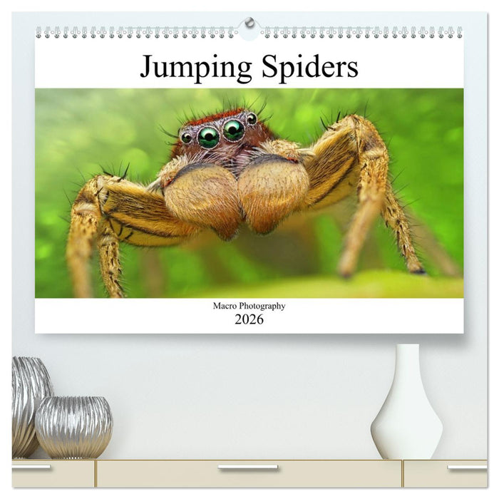 Jumping Spiders (CALVENDO Premium-Calendar 2026)