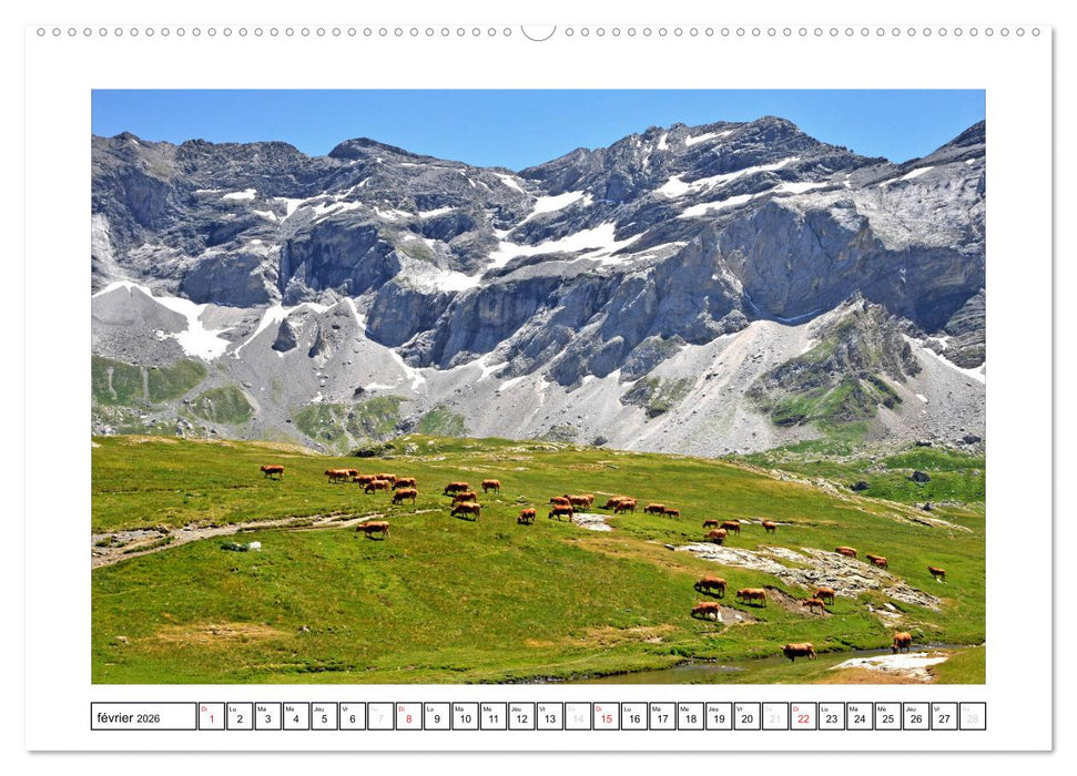 Pyrénéennes (CALVENDO Calendrier supérieur 2026)