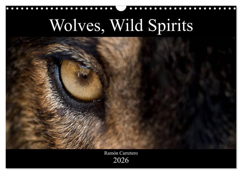 Wolves, Wild Spirits (CALVENDO Monthly Calendar 2026)