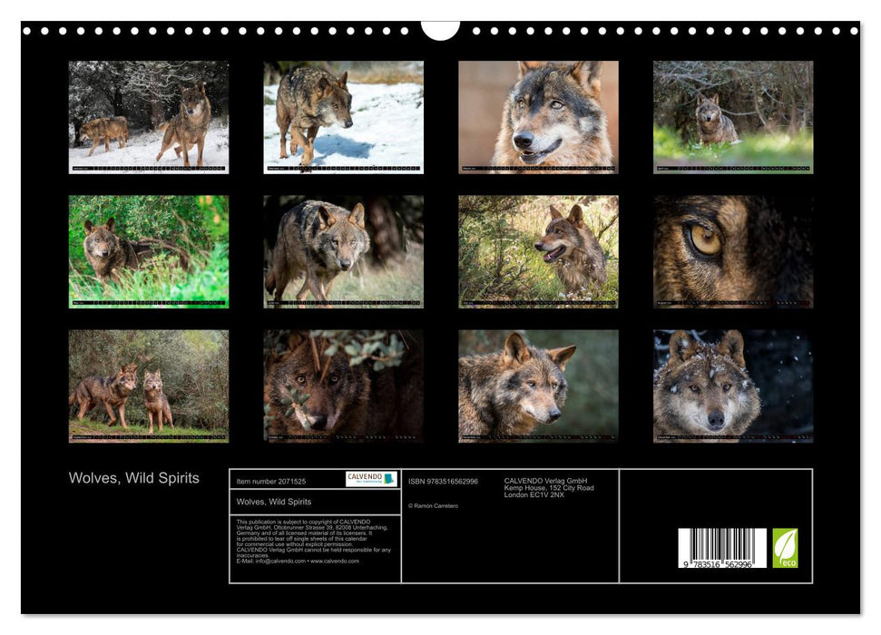 Wolves, Wild Spirits (CALVENDO Monthly Calendar 2026)