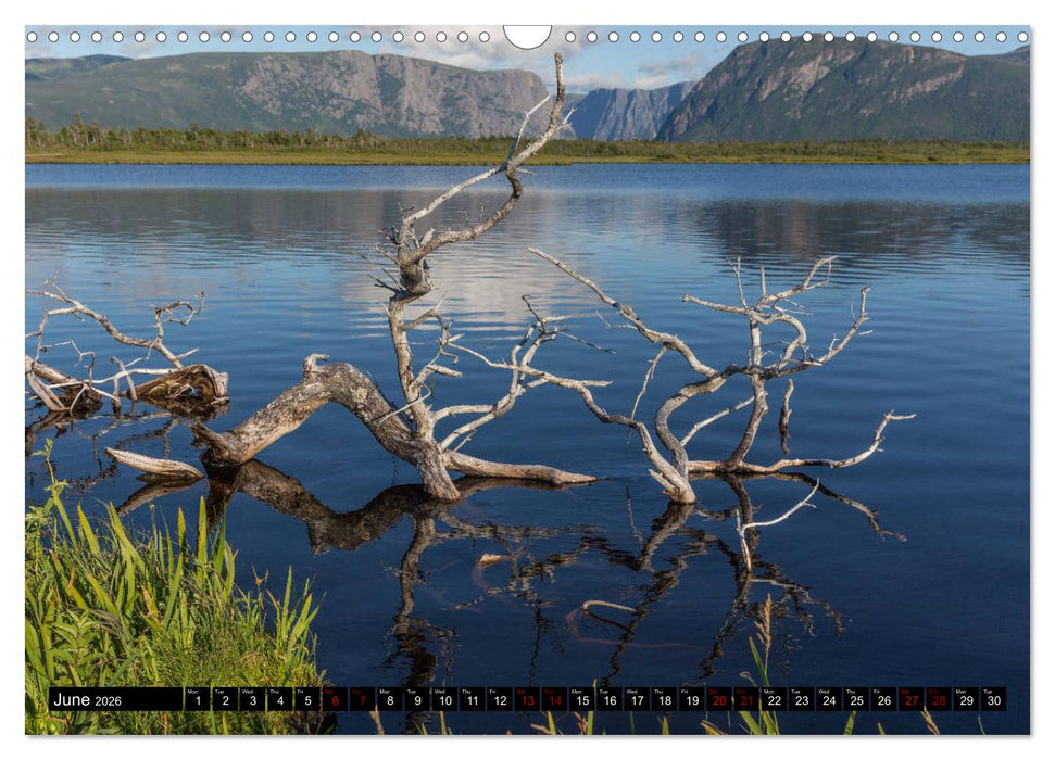 Island of Newfoundland (CALVENDO Monthly Calendar 2026)