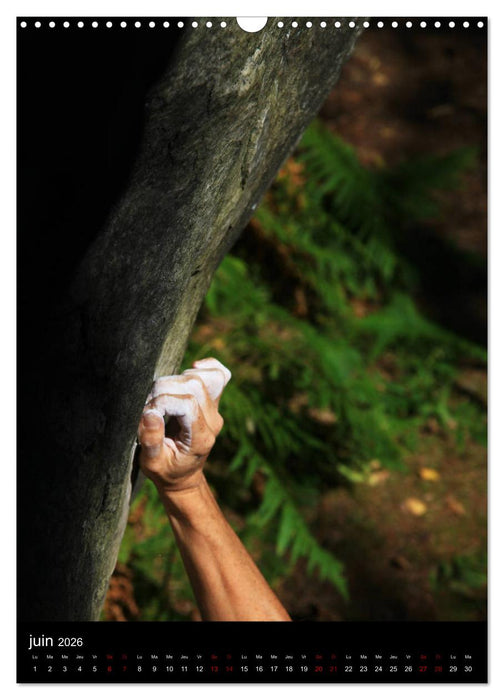 Calendrier du Bleausard (CALVENDO Calendrier mensuel 2026)