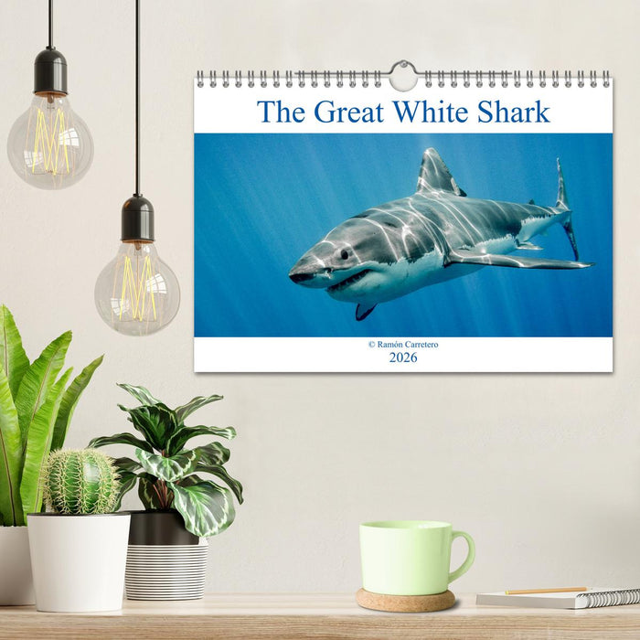 The Great White Shark: King of the Ocean (CALVENDO Monthly Calendar 2026)
