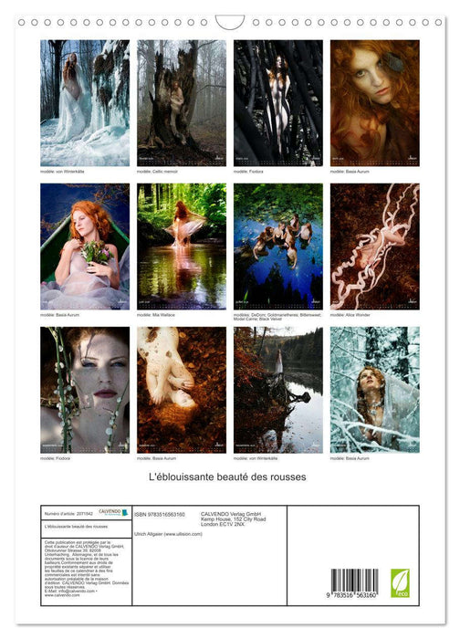 L'éblouissante beauté des rousses (CALVENDO Calendrier mensuel 2026)