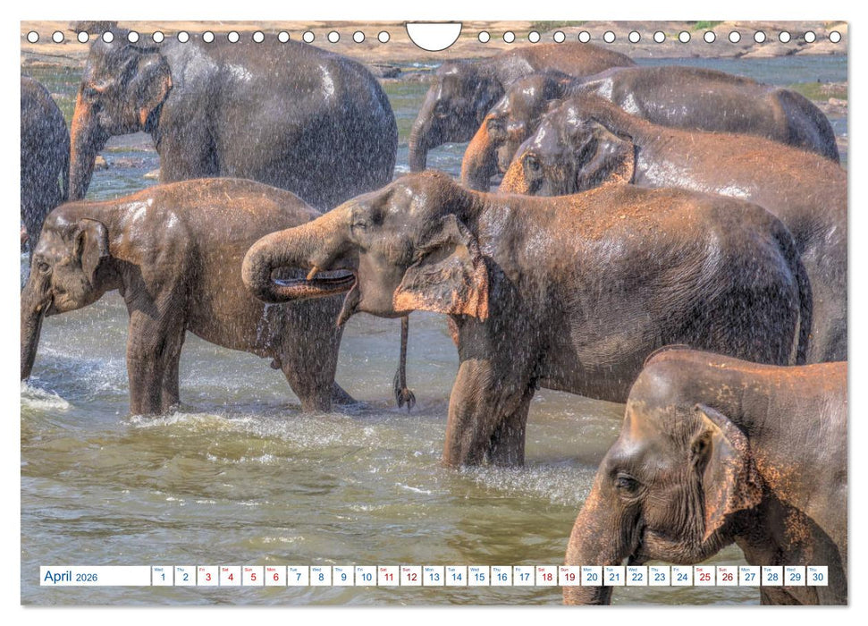 Sri Lanka (CALVENDO Monthly Calendar 2026)