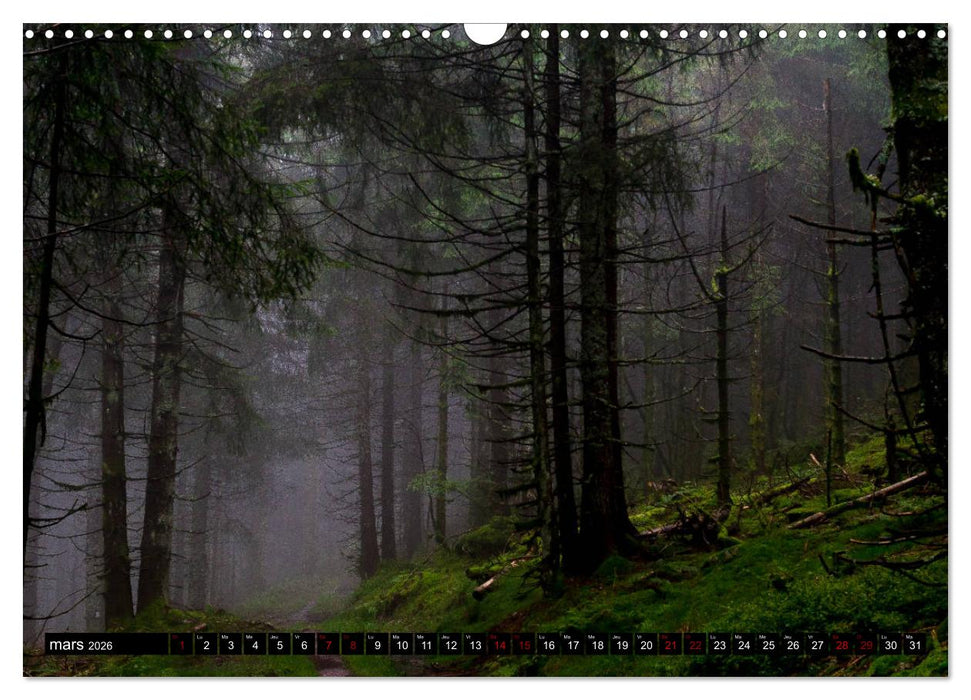 Lumières des Vosges (CALVENDO Calendrier mensuel 2026)