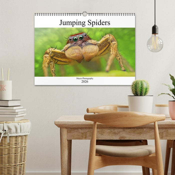 Jumping Spiders (CALVENDO Monthly Calendar 2026)