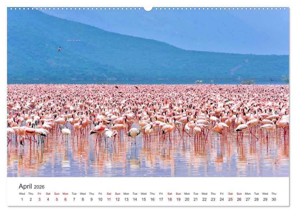 Kenya - a country like Africa (CALVENDO Premium-Calendar 2026)