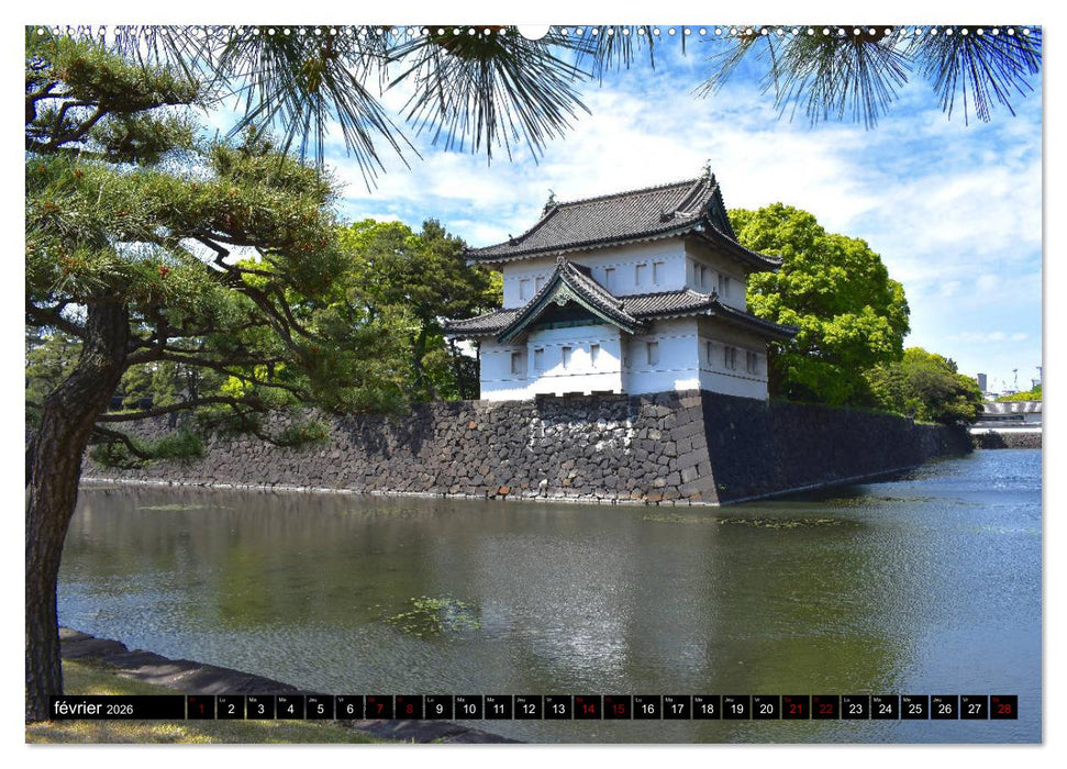 Les couleurs de Tokyo (CALVENDO Calendrier supérieur 2026)