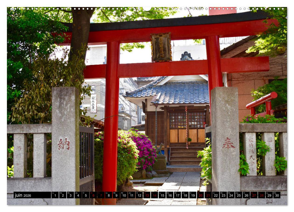 Les couleurs de Tokyo (CALVENDO Calendrier supérieur 2026)