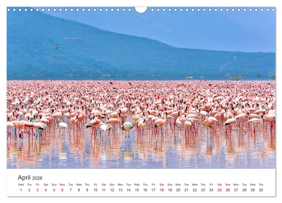 Kenya - a country like Africa (CALVENDO Monthly Calendar 2026)
