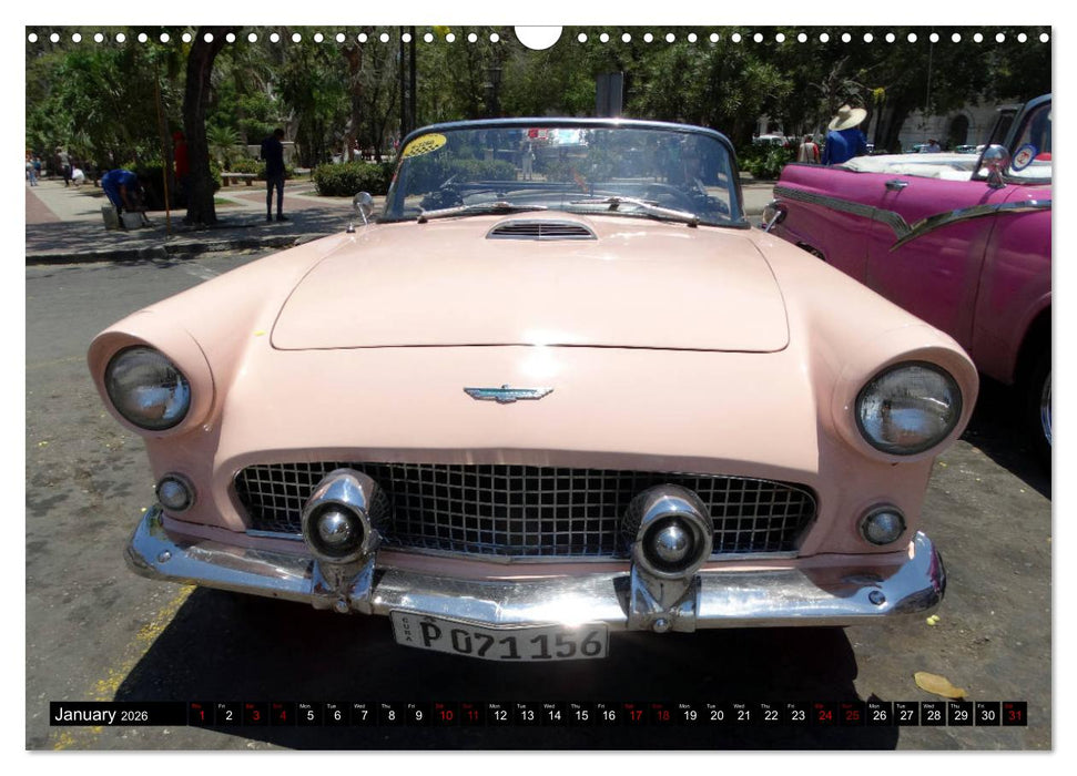 Ford Thunderbird (CALVENDO Monthly Calendar 2026)