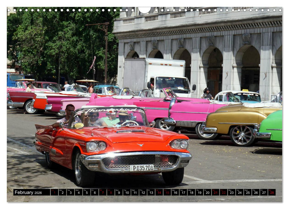 Ford Thunderbird (CALVENDO Monthly Calendar 2026)
