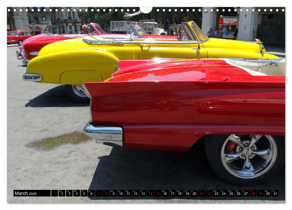 Ford Thunderbird (CALVENDO Monthly Calendar 2026)