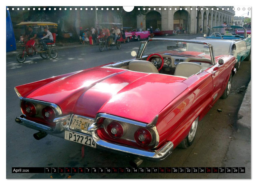 Ford Thunderbird (CALVENDO Monthly Calendar 2026)