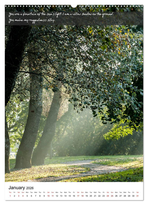 Rumi in Love (CALVENDO Premium-Calendar 2026)