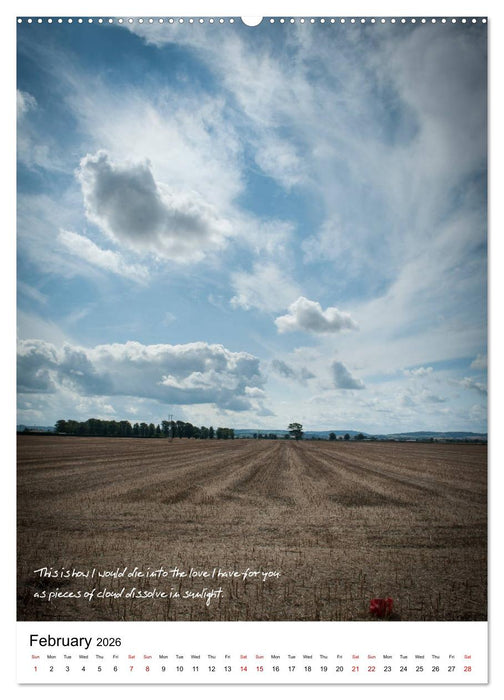 Rumi in Love (CALVENDO Premium-Calendar 2026)