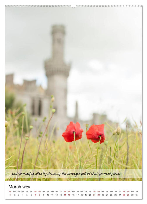 Rumi in Love (CALVENDO Premium-Calendar 2026)