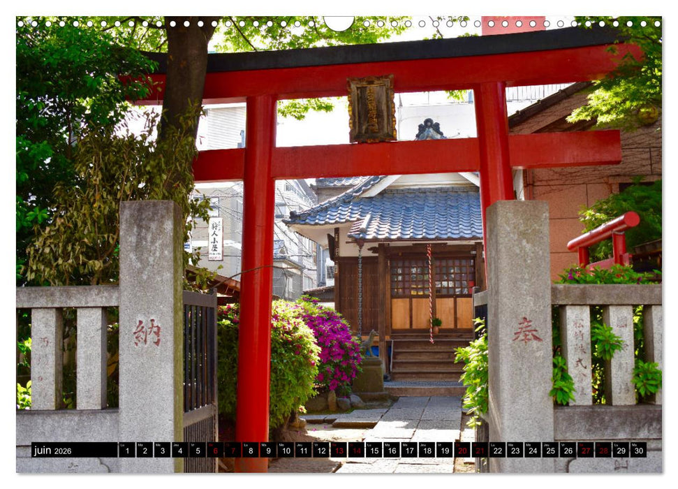 Les couleurs de Tokyo (CALVENDO Calendrier mensuel 2026)