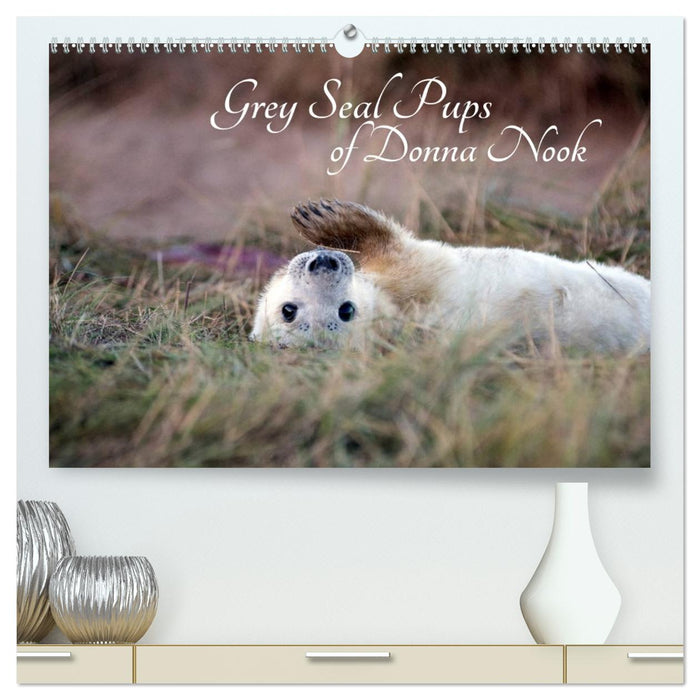 Grey Seal Pups of Donna Nook (CALVENDO Premium-Calendar 2026)