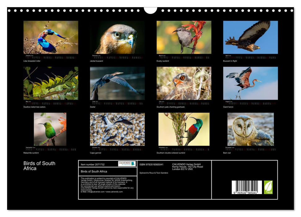 Birds of South Africa (CALVENDO Monthly Calendar 2026)
