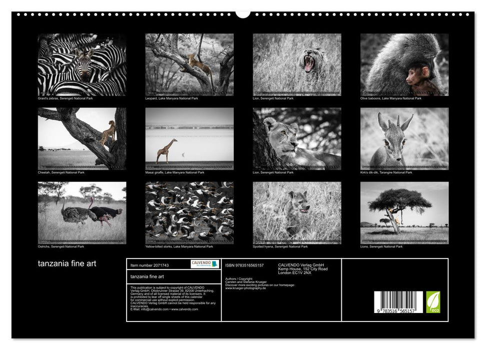 tanzania fine art (CALVENDO Premium-Calendar 2026)