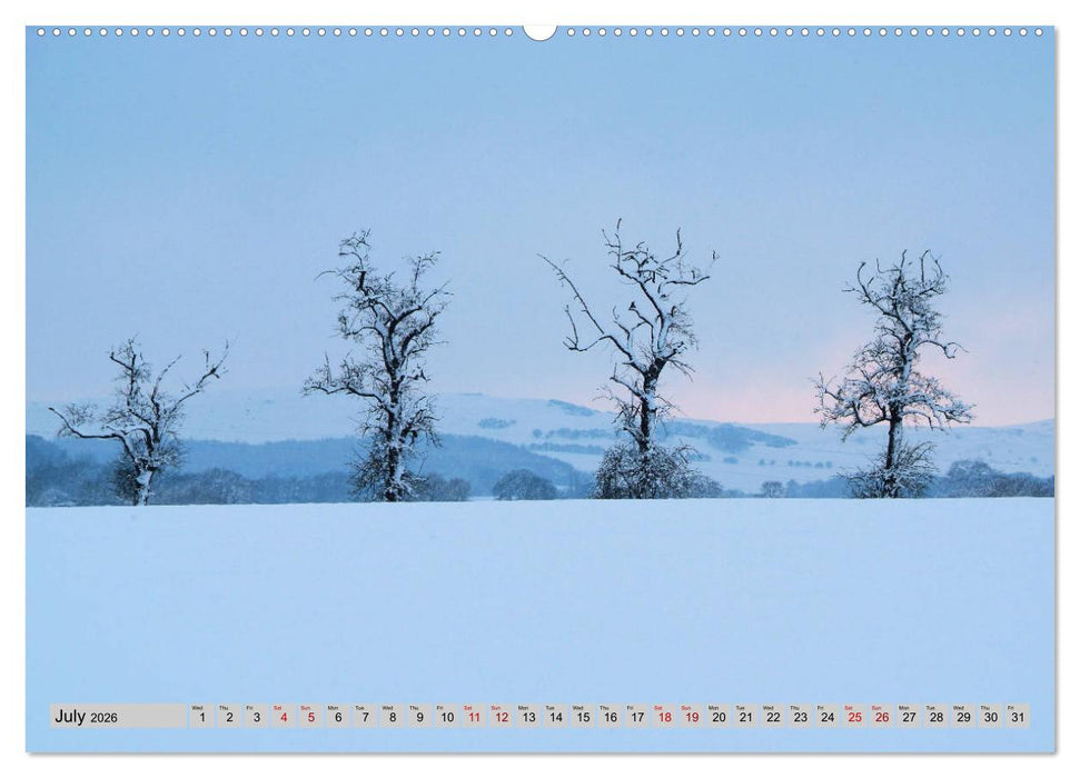Snow Scenes (CALVENDO Premium-Calendar 2026)