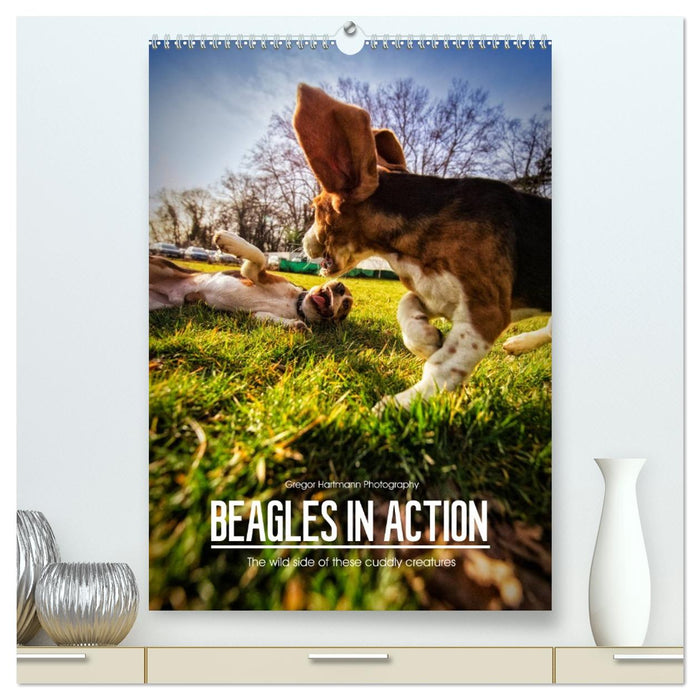 Beagles in action (CALVENDO Premium-Calendar 2026)