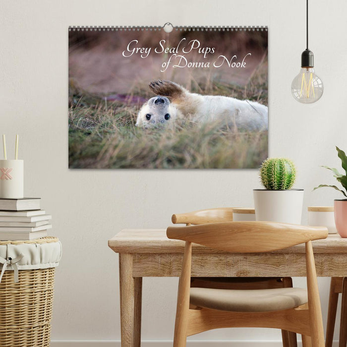 Grey Seal Pups of Donna Nook (CALVENDO Monthly Calendar 2026)
