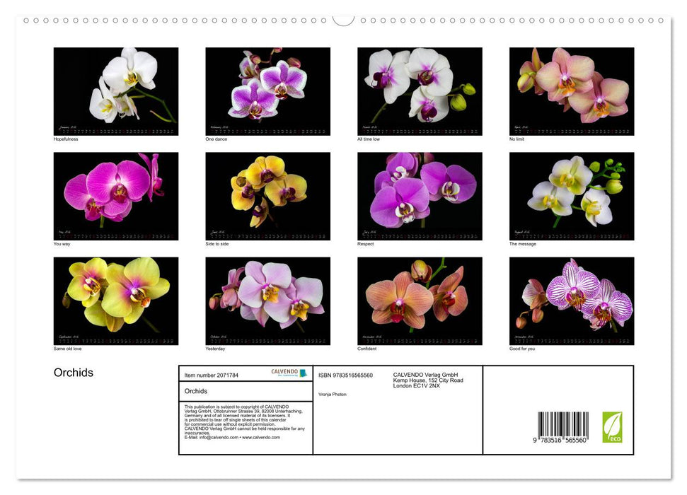 Orchids (CALVENDO Premium-Calendar 2026)