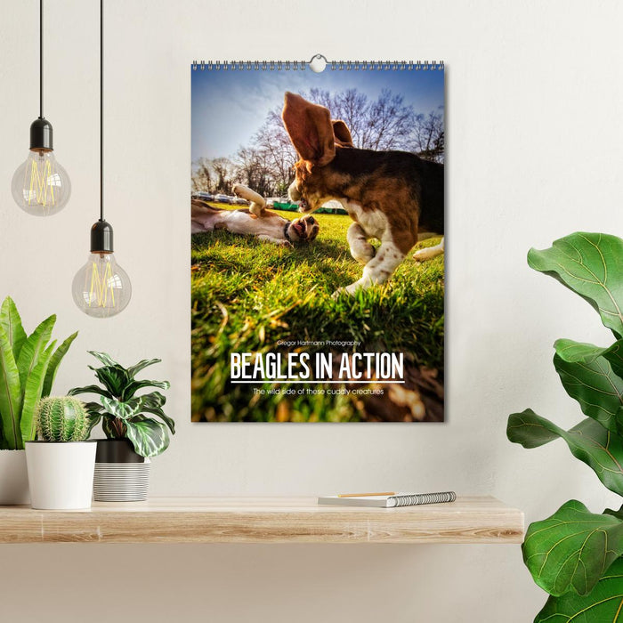 Beagles in action (CALVENDO Monthly Calendar 2026)