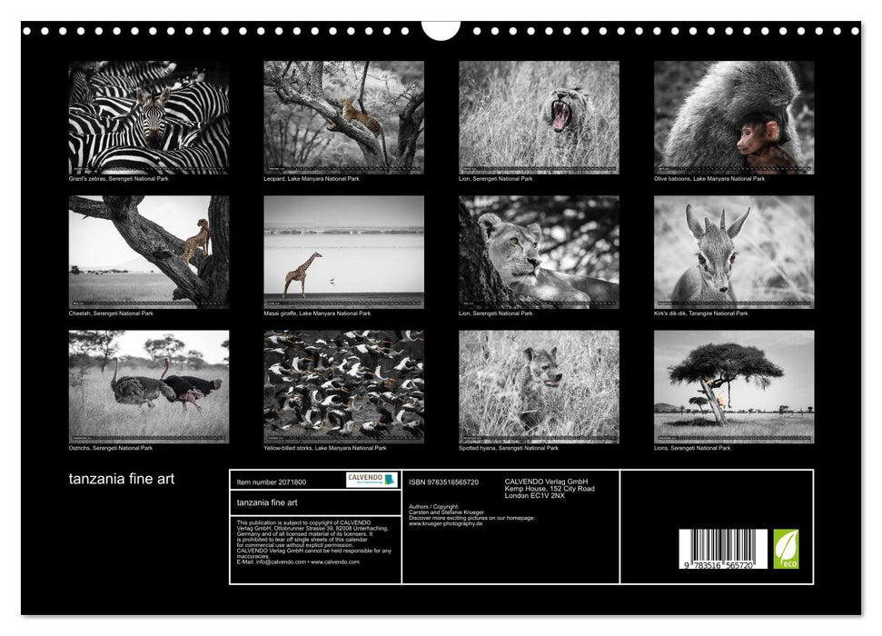 tanzania fine art (CALVENDO Monthly Calendar 2026)