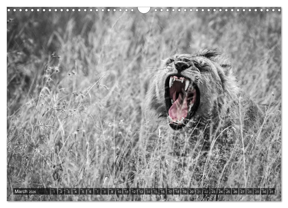 tanzania fine art (CALVENDO Monthly Calendar 2026)