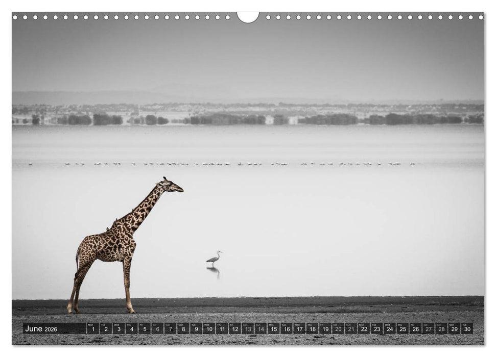 tanzania fine art (CALVENDO Monthly Calendar 2026)