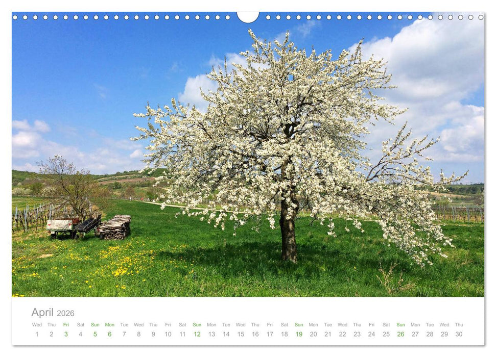 Touring Austria (CALVENDO Monthly Calendar 2026)