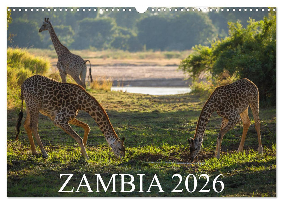 Zambia (CALVENDO Monthly Calendar 2026)