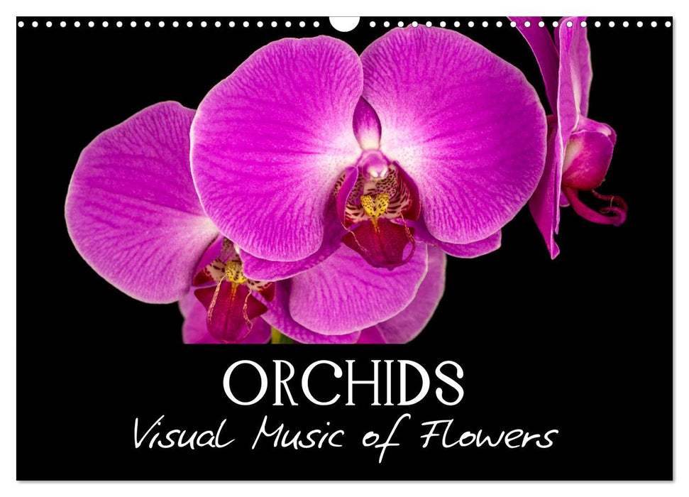 Orchids (CALVENDO Monthly Calendar 2026)