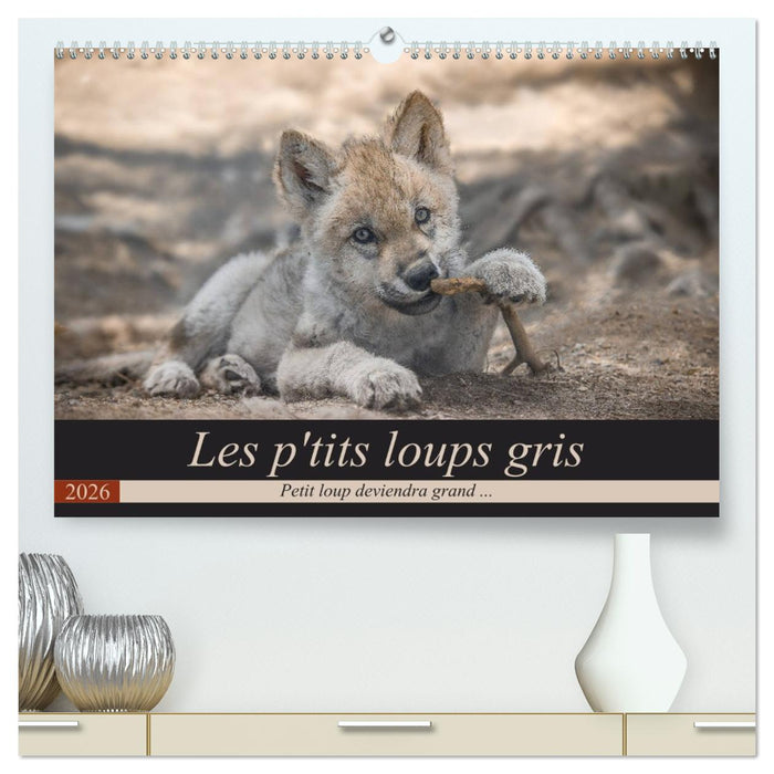 Les p'tits loups gris (CALVENDO Calendrier supérieur 2026)