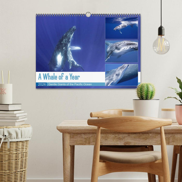 A Whale of a Year (CALVENDO Monthly Calendar 2026)