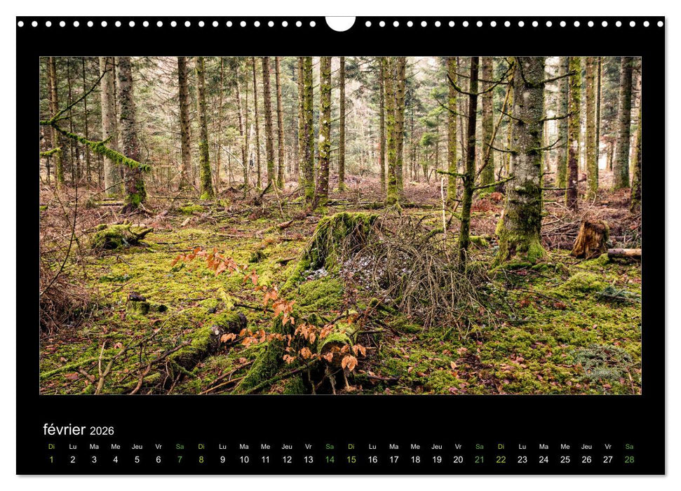 L'Auvergne est belle (CALVENDO Calendrier mensuel 2026)