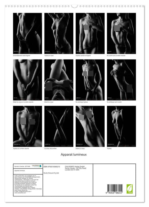 Apparat lumineux (CALVENDO Calendrier supérieur 2026)