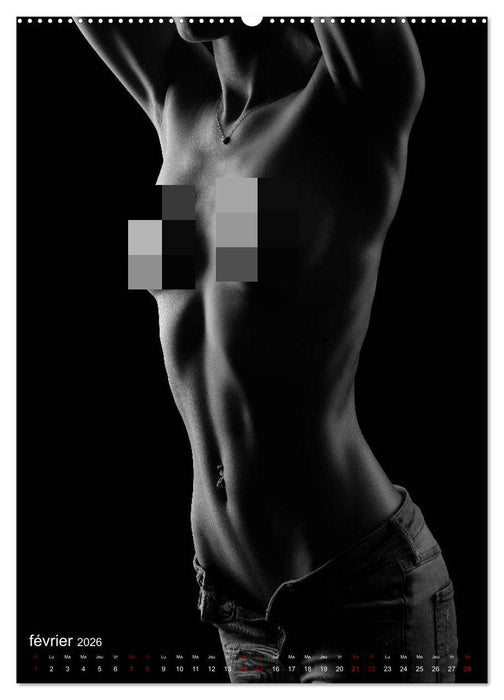 Apparat lumineux (CALVENDO Calendrier supérieur 2026)