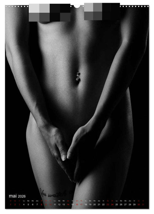 Apparat lumineux (CALVENDO Calendrier supérieur 2026)