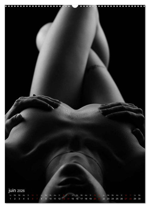 Apparat lumineux (CALVENDO Calendrier supérieur 2026)