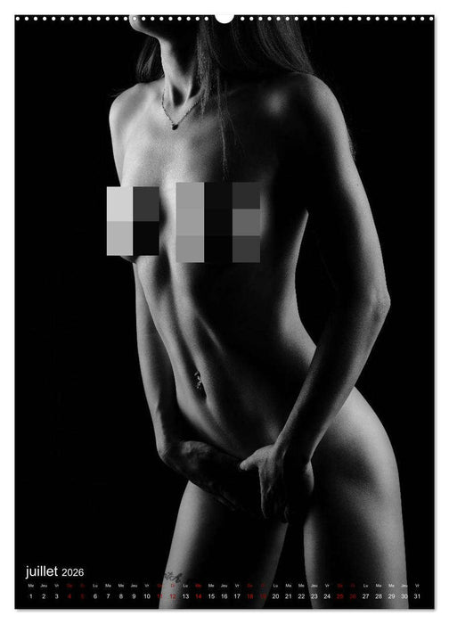 Apparat lumineux (CALVENDO Calendrier supérieur 2026)