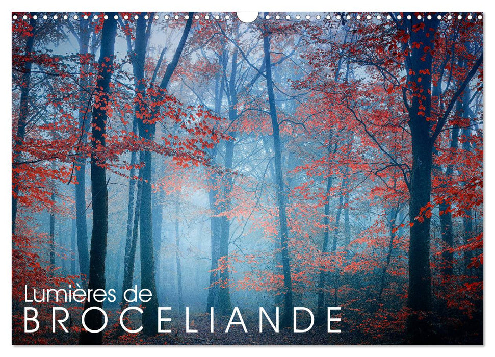 Lumières de Brocéliande (CALVENDO Calendrier mensuel 2026)
