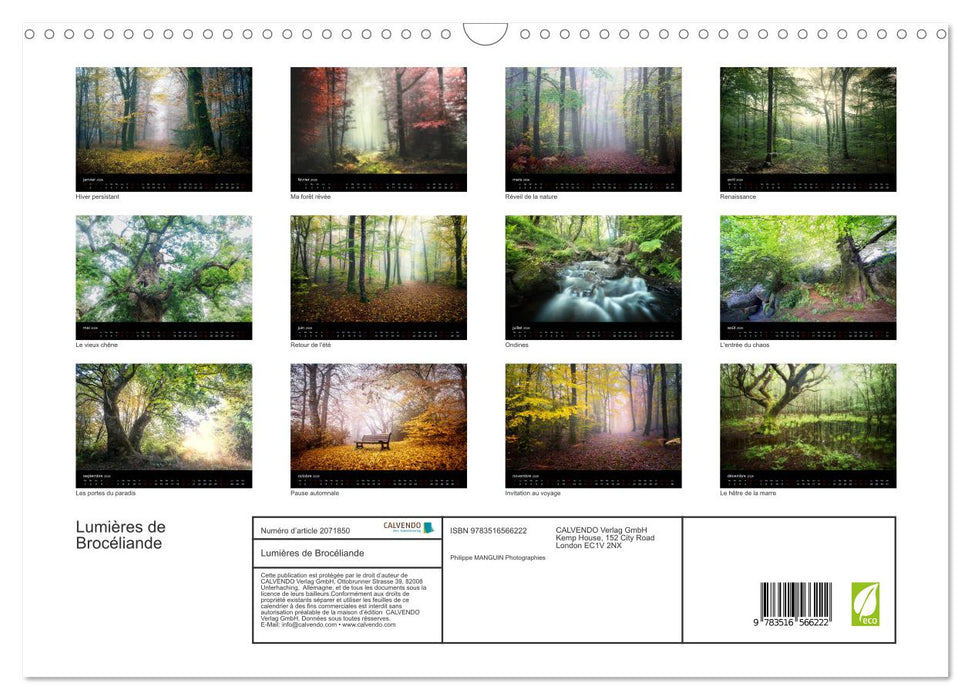 Lumières de Brocéliande (CALVENDO Calendrier mensuel 2026)