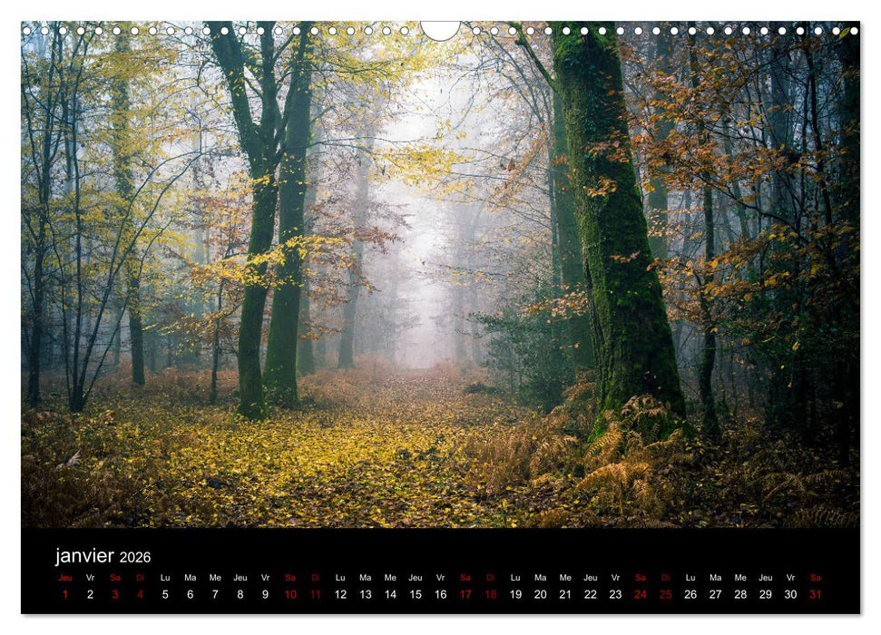 Lumières de Brocéliande (CALVENDO Calendrier mensuel 2026)